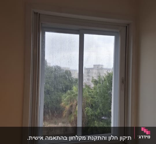 חלון זכוכית עם נוף עצים בחוץ